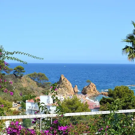 Blanca Paloma - Holiday House Holiday home
