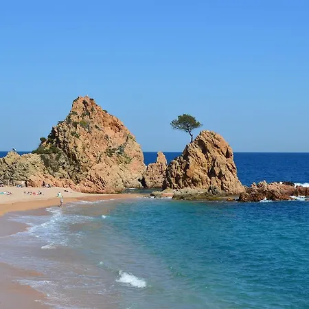Holiday home Blanca Paloma - Holiday House *